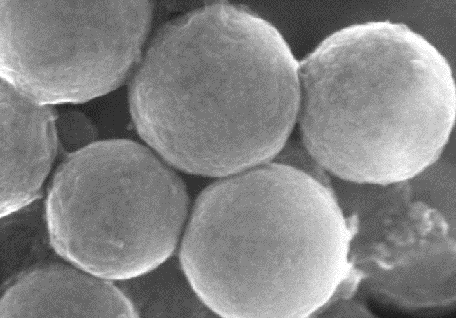 <p>Spherical monodisperse cerium oxide particles</p>